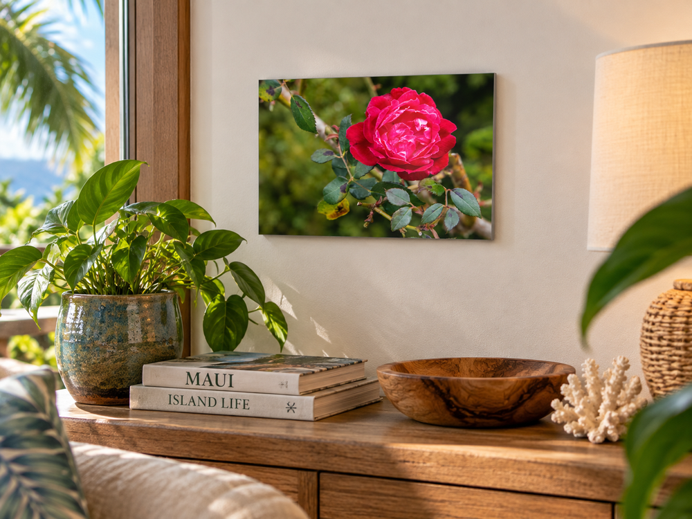 Upcountry Maui Rose Dibond Wall Art | Botanical Photography | Peck